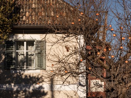 Apartments at Lago di Caldaro for free spirits Apartments at Lago di Caldaro for free spirits